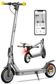 5TH Wheel W09S 350W Electric Scooter