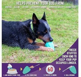 2 Pack XL Chew King Premium Treat Dog Toy