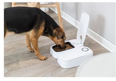 2 Pack Trixie Automatic Pet Feeder