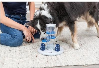 Interactive Treat Dispensing Strategy Game
