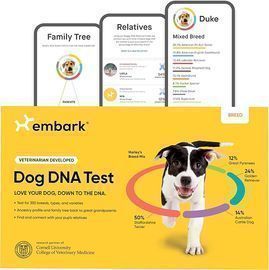 Embark Breed Identification Kit, Dog DNA Testing Kit