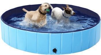 Alden Design 55.1" Pet Swimming Pool for Dogs and Cats