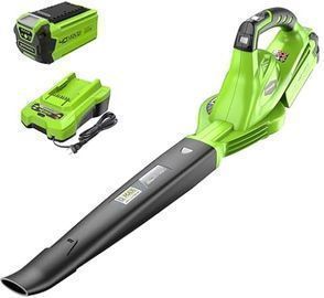 Greenworks 40V Leaf Blower/Sweeper