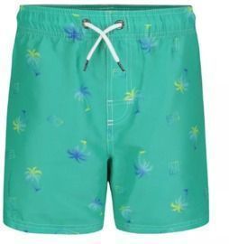 Tommy Hilfiger Big Boys Palm Swim Trunk