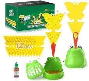 Fruit Fly Traps