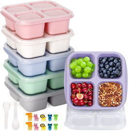 Reusable 4-Compartment & Fork Snack Containers, 6pk